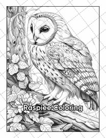 50 Beautiful Birds Adult Coloring Pages Printable PDF Instant Download ...
