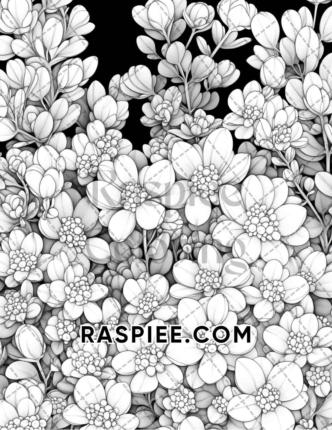 Succulent Blossoms Adult Coloring Pages Printable PDF Instant Download