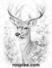 50 Christmas Deer Grayscale Coloring Pages for Adults, Printable PDF I ...