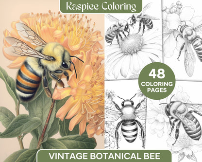 Vintage botanical bee grayscale coloring page for adults, Printable grayscale coloring sheet with detailed botanical illustration, Black and white bee-themed coloring activity for relaxation