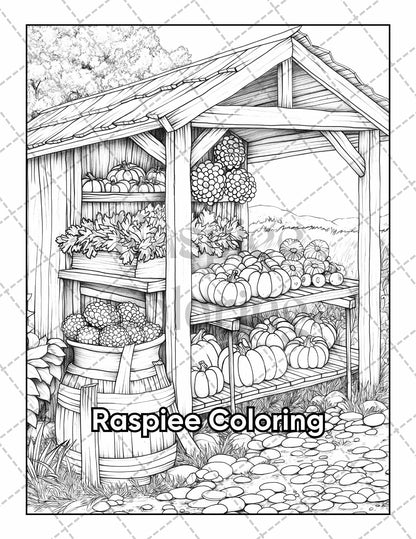 50 Country Farm Scenes Adult Coloring Pages Printable PDF Instant Download