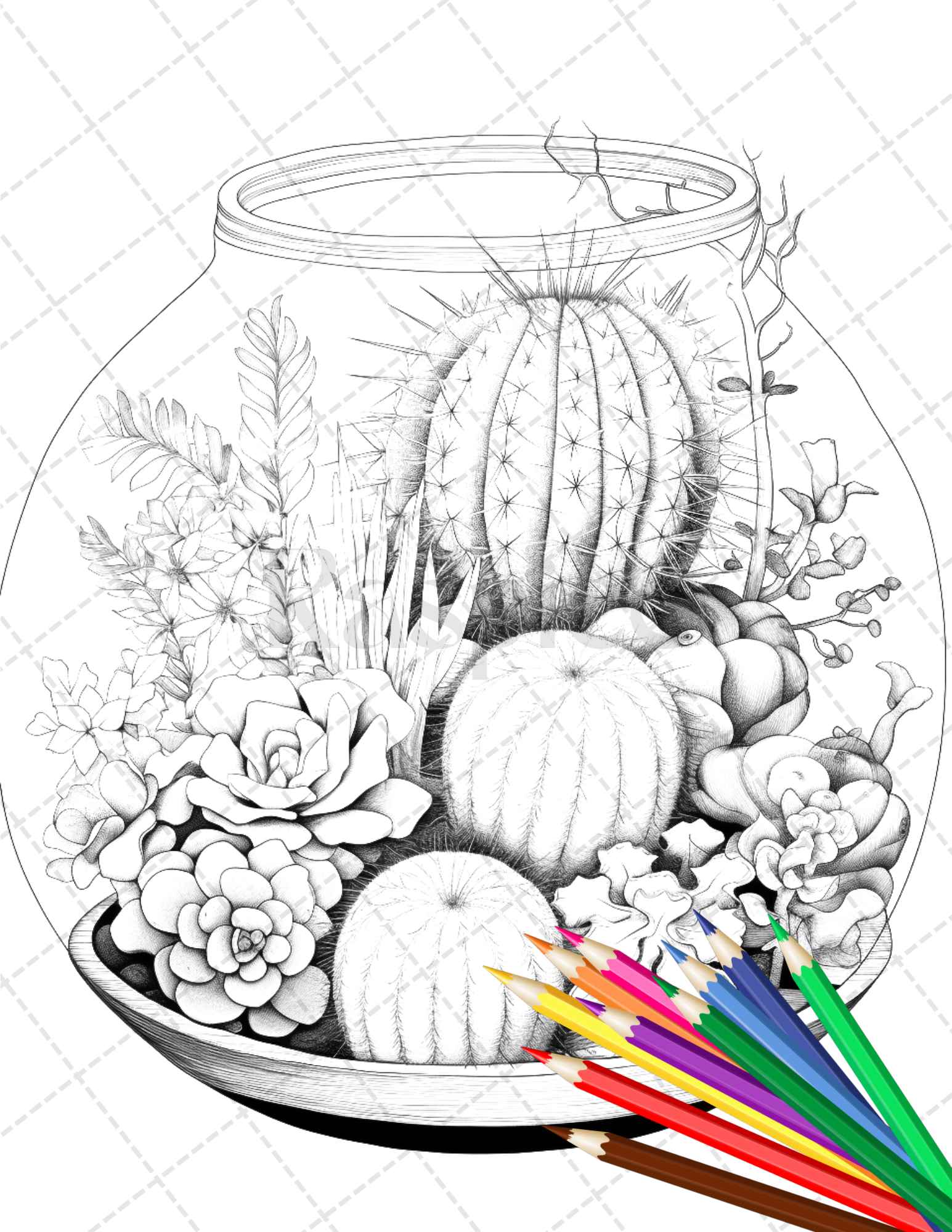 Adult Coloring Pages With Succulents & Terrariums Set 