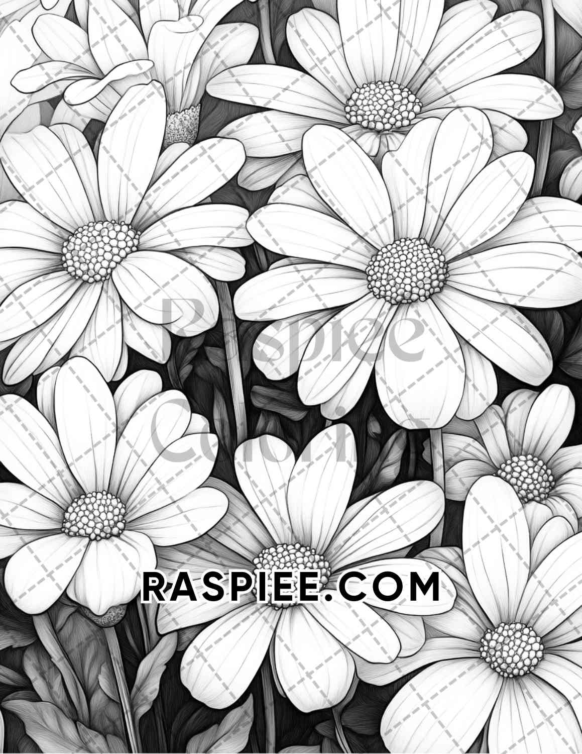 Seasonal Flowers Adult Coloring Pages Printable PDF Instant Download