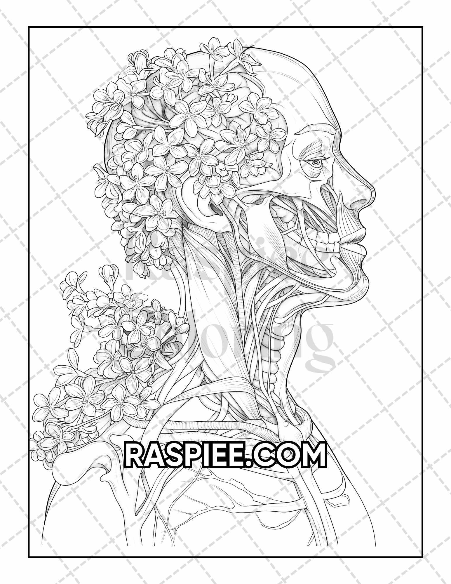 Free Printable Anatomy Coloring Pages For Adults 2025 Free Printable Anatomy Coloring Pages For Adults 2025