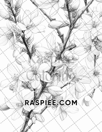 Seasonal Flowers Adult Coloring Pages Printable PDF Instant Download