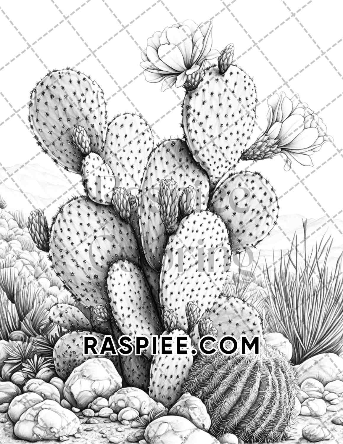 prickly pear cactus coloring page Succulent Blossoms Adult Coloring Pages Printable PDF Instant Download – RASPIEE