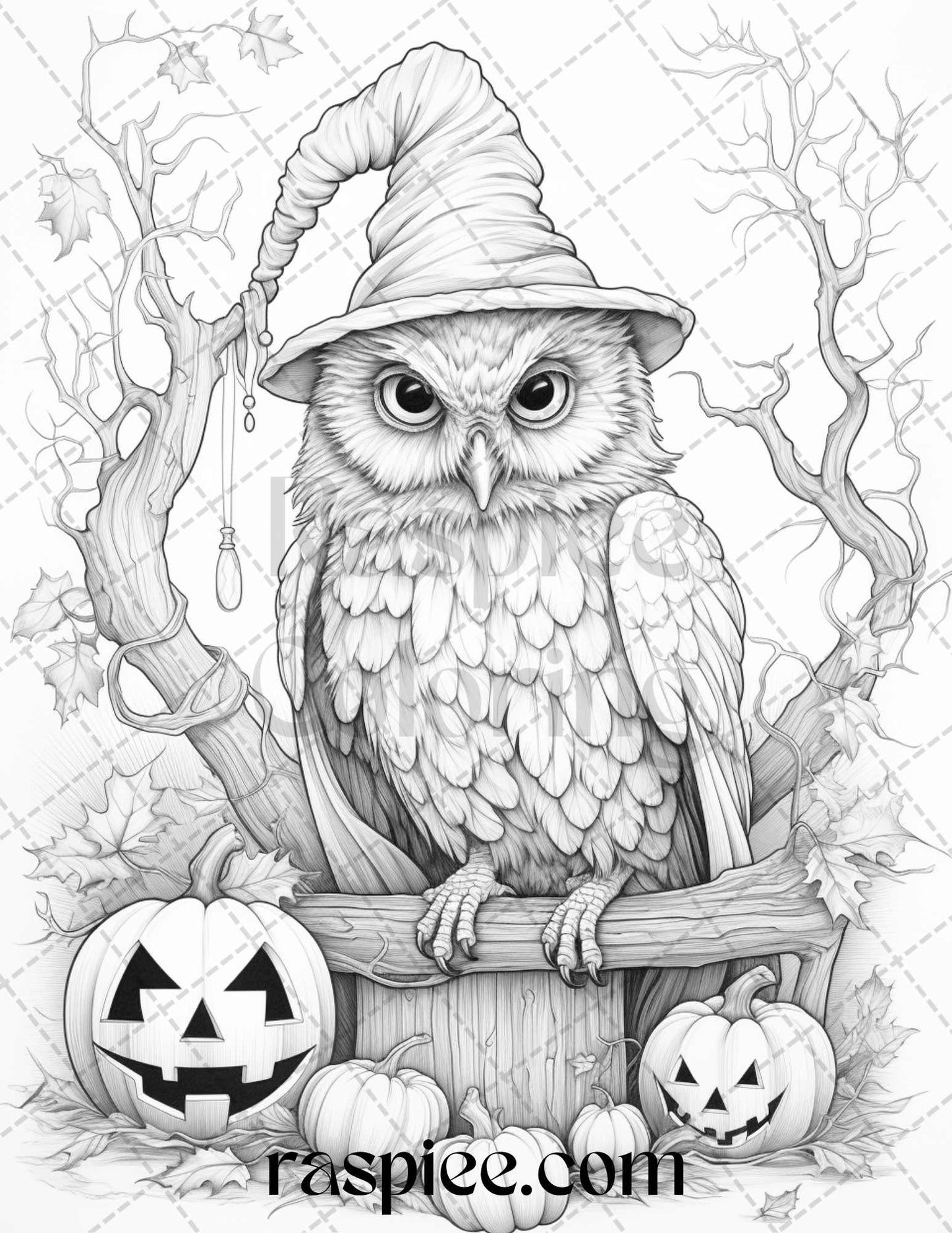 Halloween Witch Owl Grayscale Coloring Pages for Adults and Kids, Printable PDF Instant Download