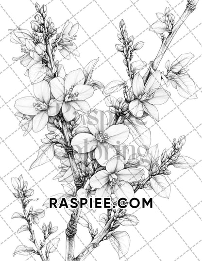 Seasonal Flowers Adult Coloring Pages Printable PDF Instant Download