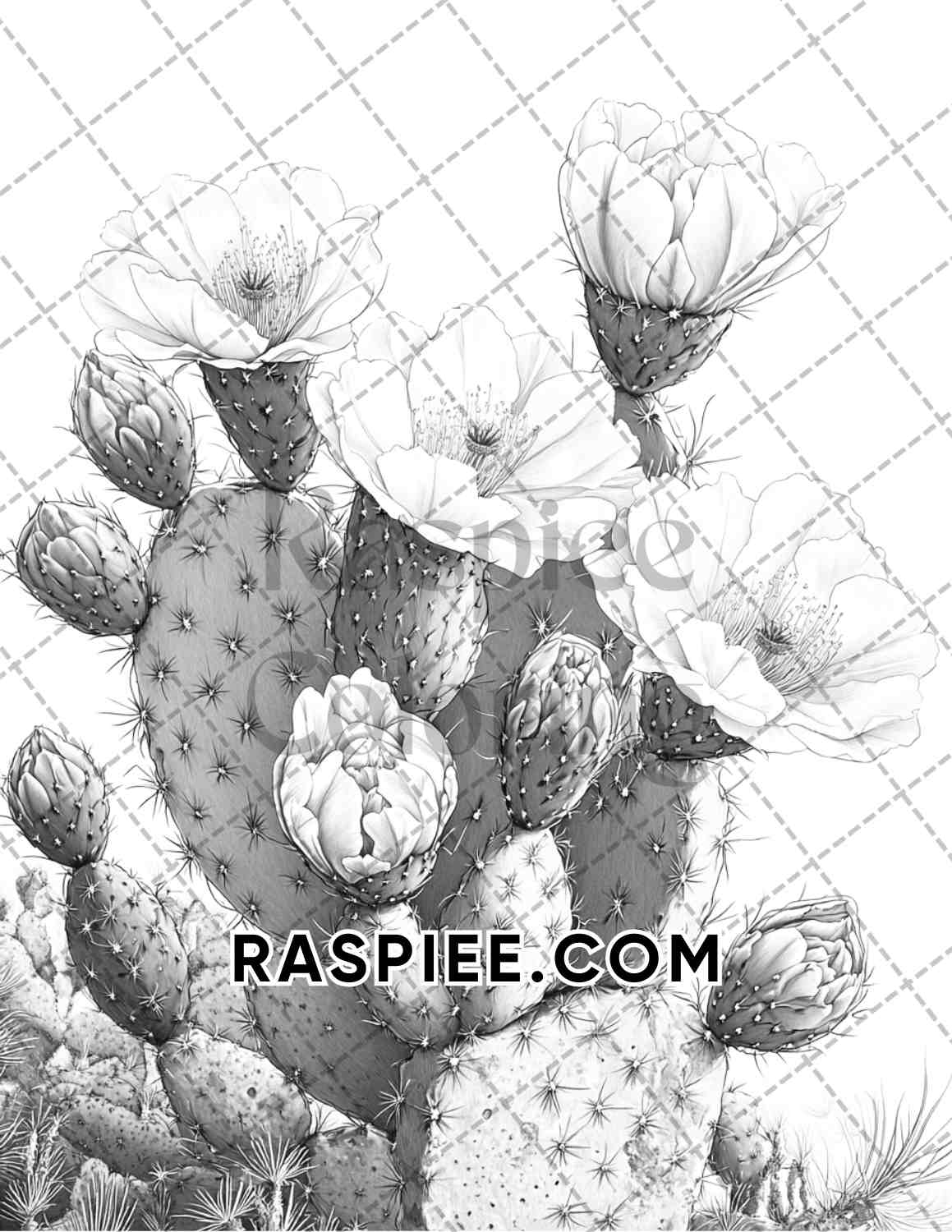 Succulent Blossoms Adult Coloring Pages Printable PDF Instant Download