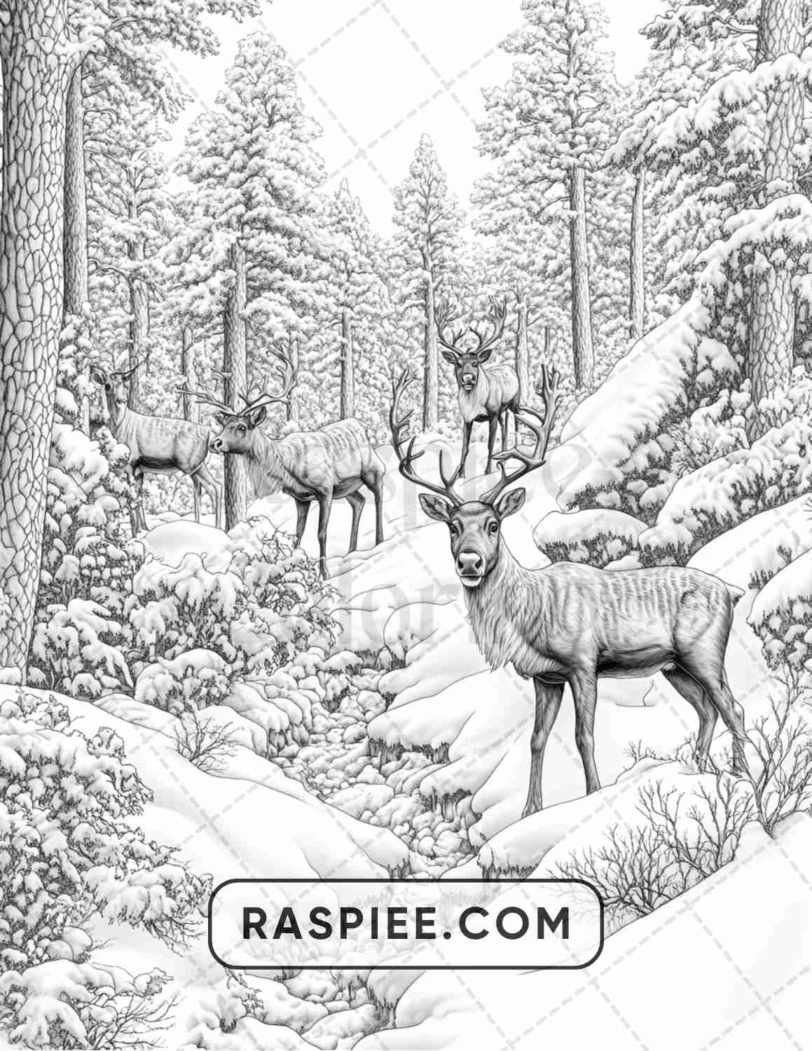 86 Winter Animals Adult Coloring Pages