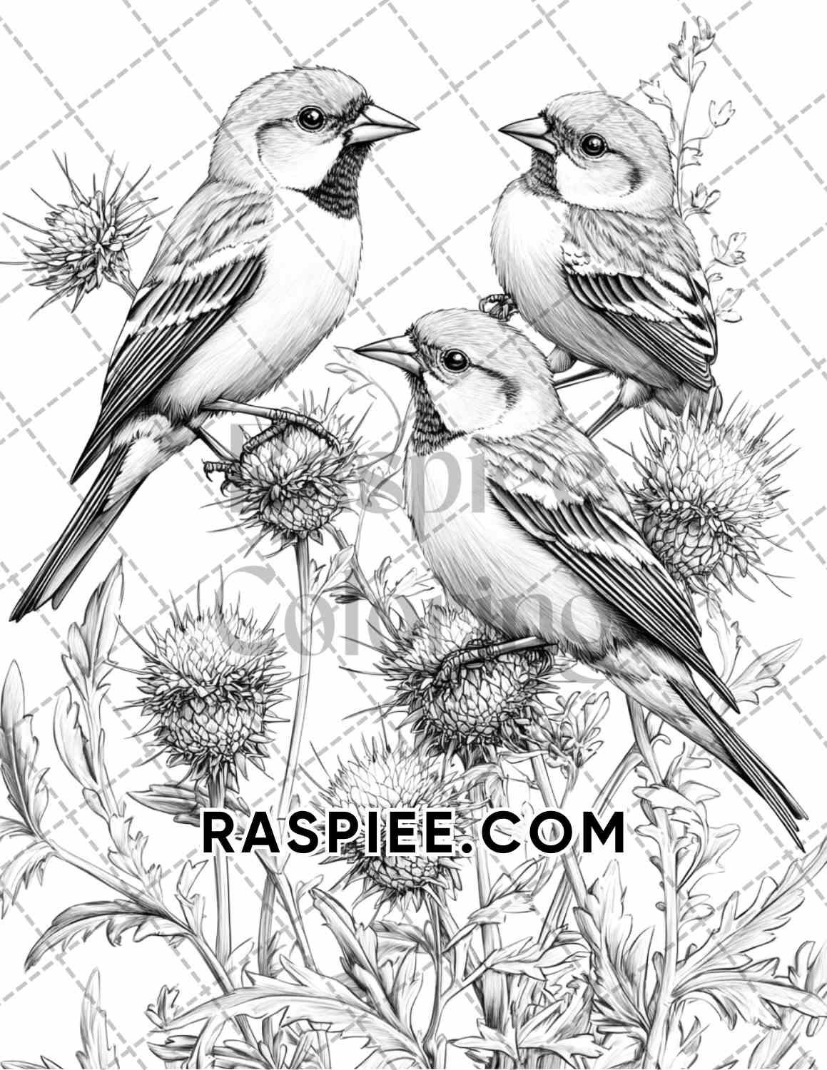 Flowers and Birds Adult Coloring Pages Printable PDF Instant Download - RASPIEE