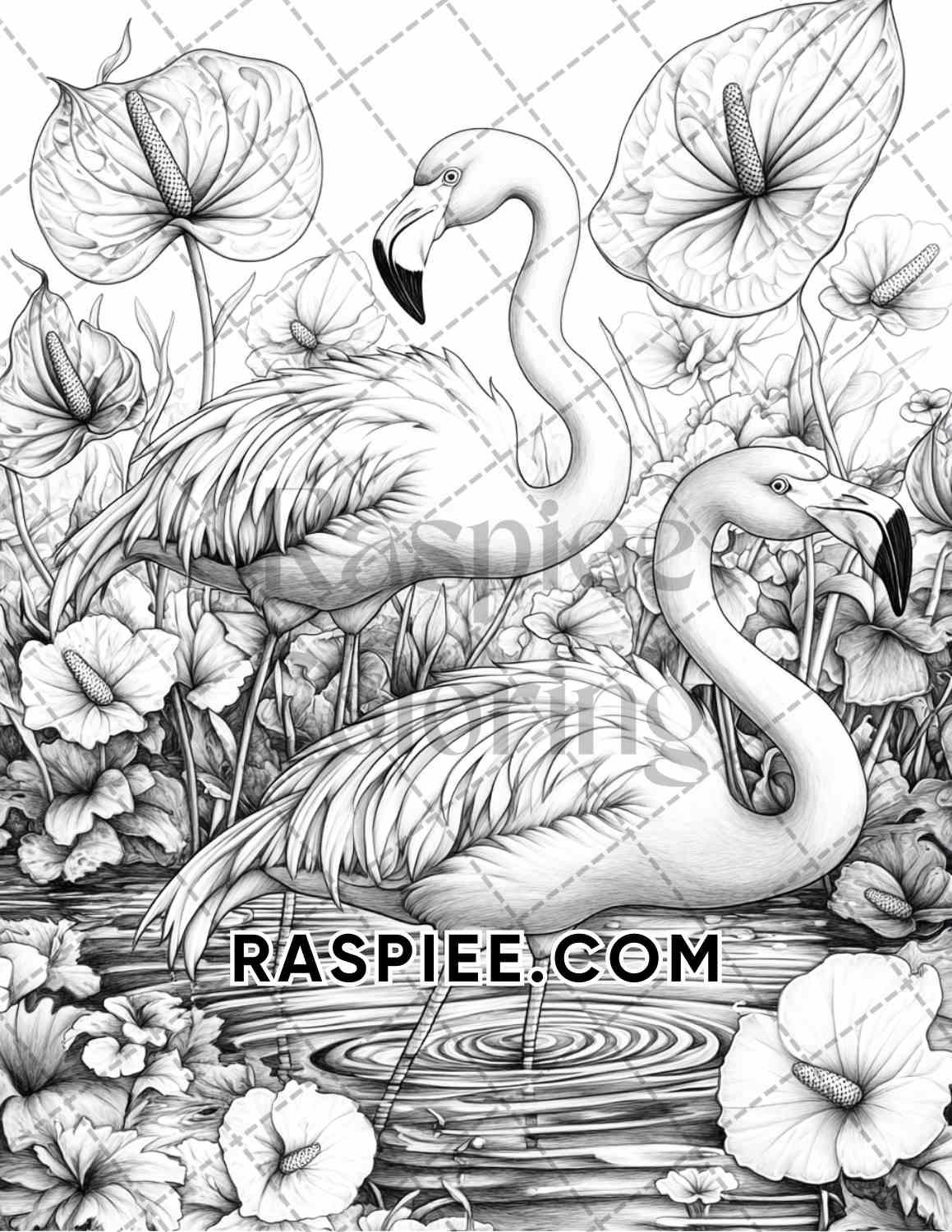 Flowers and Birds Adult Coloring Pages Printable PDF Instant Download - RASPIEE