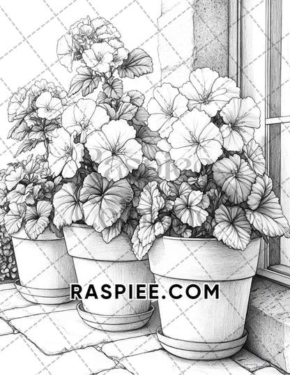 Seasonal Flowers Adult Coloring Pages Printable PDF Instant Download