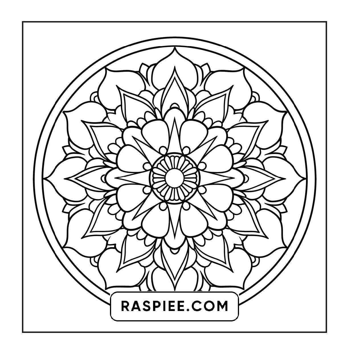 250 Mandala Adult Coloring Pages Printable PDF Instant Download Vol.1 – RASPIEE 250-mandala-adult-coloring-pages-printable-pdf-instant-download-vol-1-raspiee