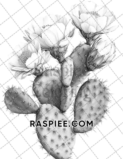 Succulent Blossoms Adult Coloring Pages Printable PDF Instant Download