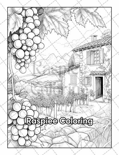 50 Country Farm Scenes Adult Coloring Pages Printable PDF Instant Download
