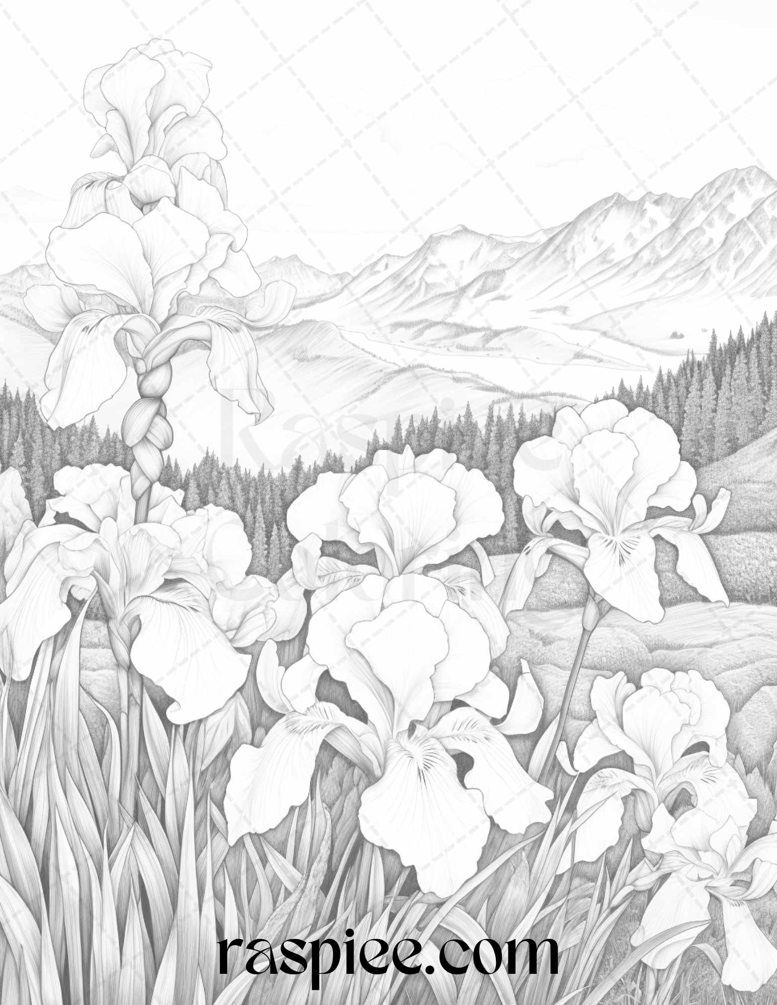60 Mountain Flower Landscapes Grayscale Coloring Pages Printable for Adults, PDF File Instant Download - Raspiee Coloring