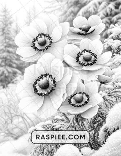 77 Winter Flowers Adult Coloring Pages