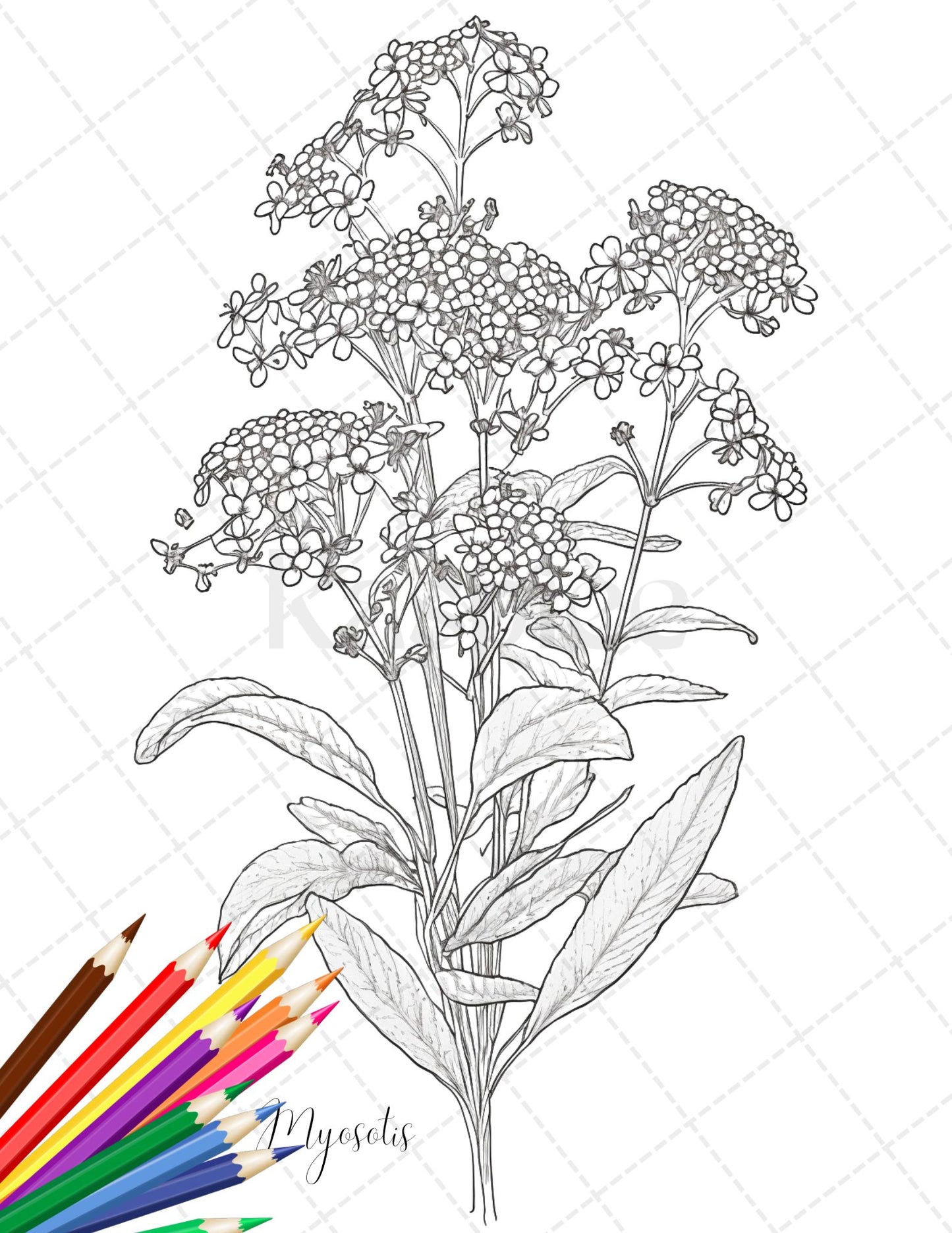 30 Botanical Flowers Printable Coloring Pages for Adults, Floral Grayscale Coloring Book, Printable PDF File Download - raspiee