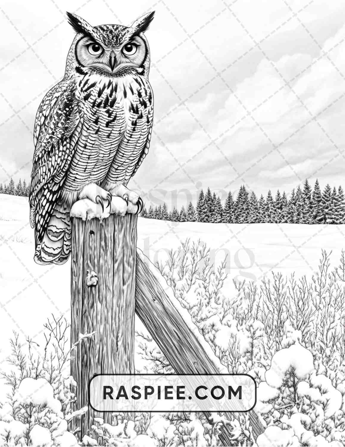 80 Winter Birds Adult Coloring Pages