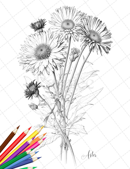30 Botanical Flowers Printable Coloring Pages for Adults, Floral Grayscale Coloring Book, Printable PDF File Download - raspiee