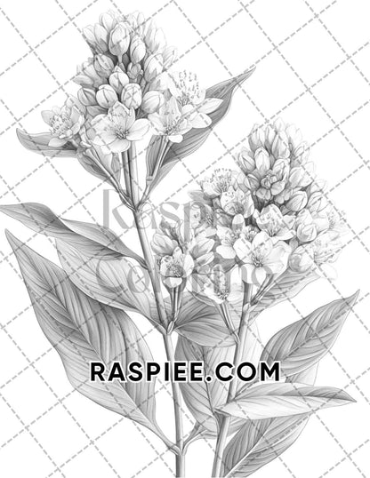 Succulent Blossoms Adult Coloring Pages Printable PDF Instant Download