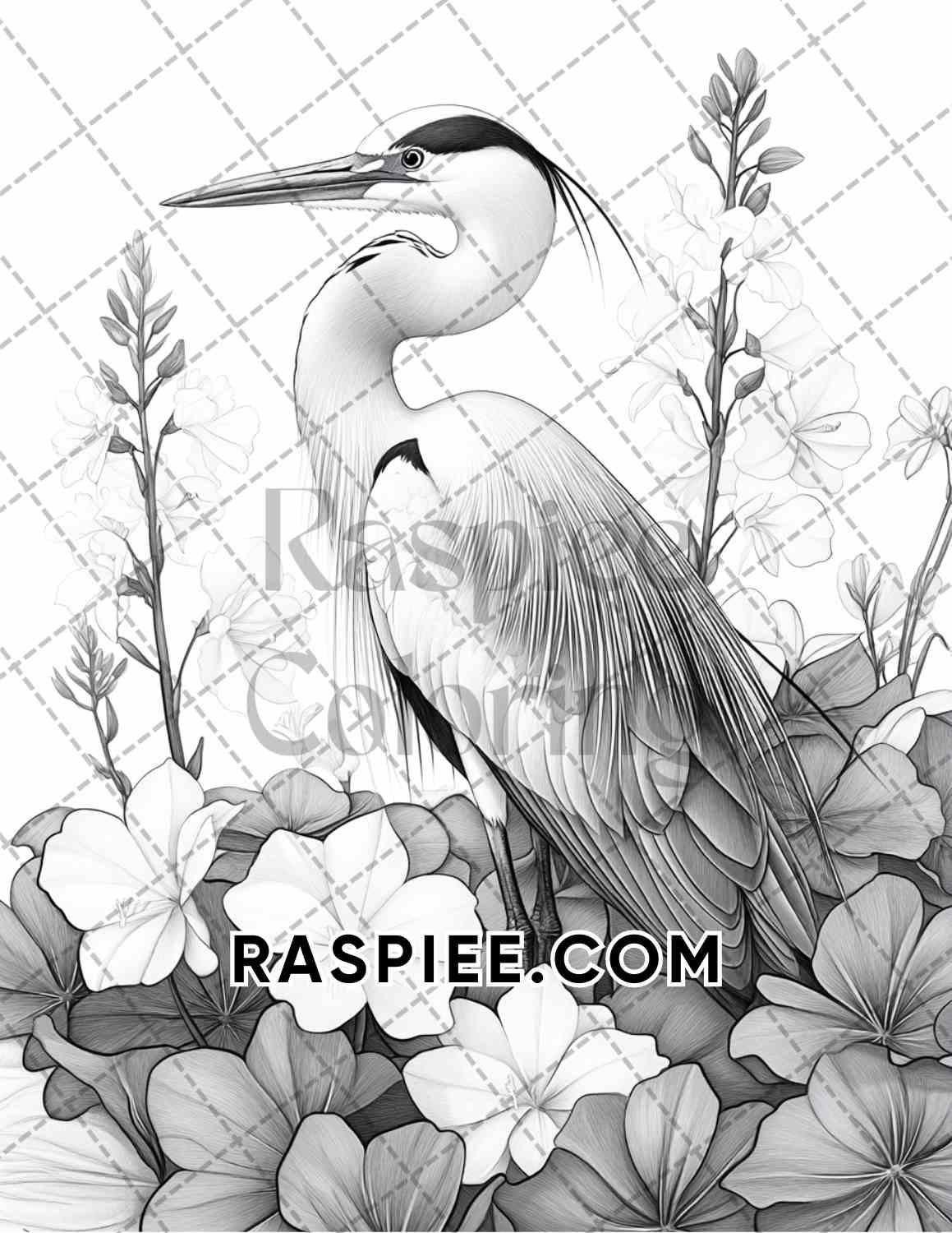 Flowers and Birds Adult Coloring Pages Printable PDF Instant Download - RASPIEE