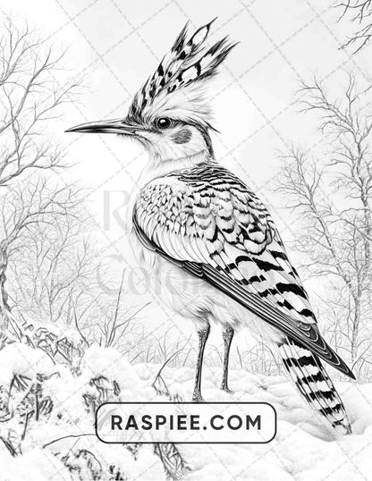 80 Winter Birds Adult Coloring Pages