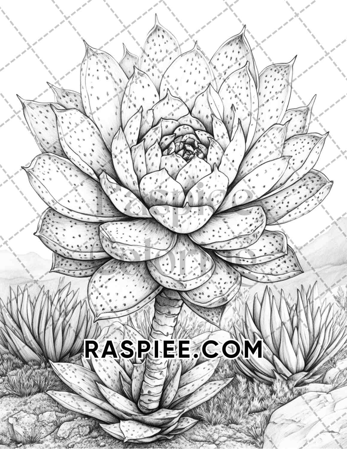 Succulent Blossoms Adult Coloring Pages Printable PDF Instant Download