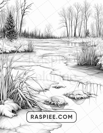 82 Winter Landscapes Adult Coloring Pages - RASPIEE