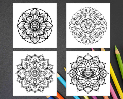 250 Mandala Adult Coloring Pages Vol.3 - RASPIEE