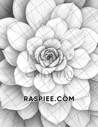 Succulent Blossoms Adult Coloring Pages Printable PDF Instant Download