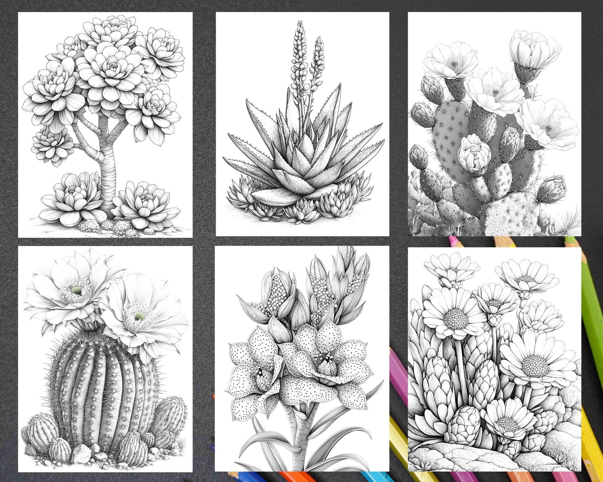 coloring succulents Succulent Blossoms Adult Coloring Pages Printable PDF Instant Download