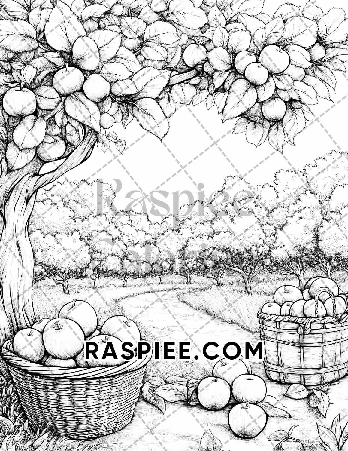 Autumn Charm Adult Coloring Pages Printable PDF Instant Download - RASPIEE