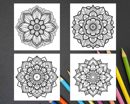 250 Mandala Adult Coloring Pages Vol.1 - RASPIEE