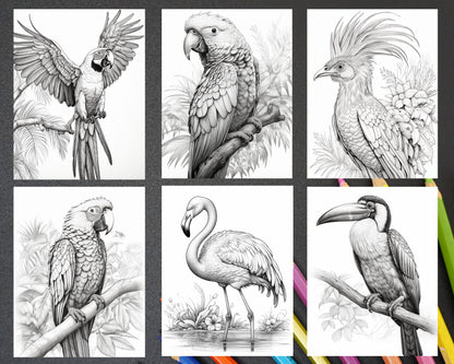 31 Tropical Birds Coloring Book for Adults, Grayscale Coloring Page, Printable PDF Instant Download - raspiee