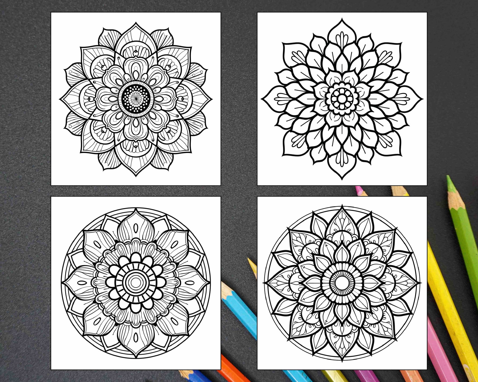 250 Mandala Adult Coloring Pages Vol.2 - RASPIEE