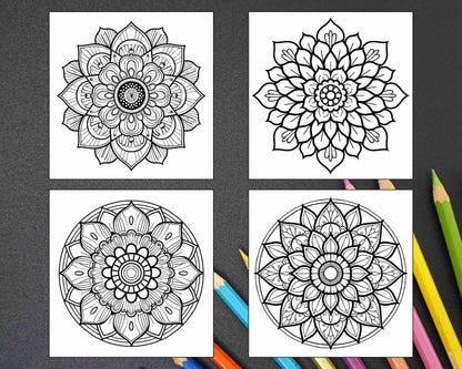 250 Mandala Adult Coloring Pages Vol.2 - RASPIEE