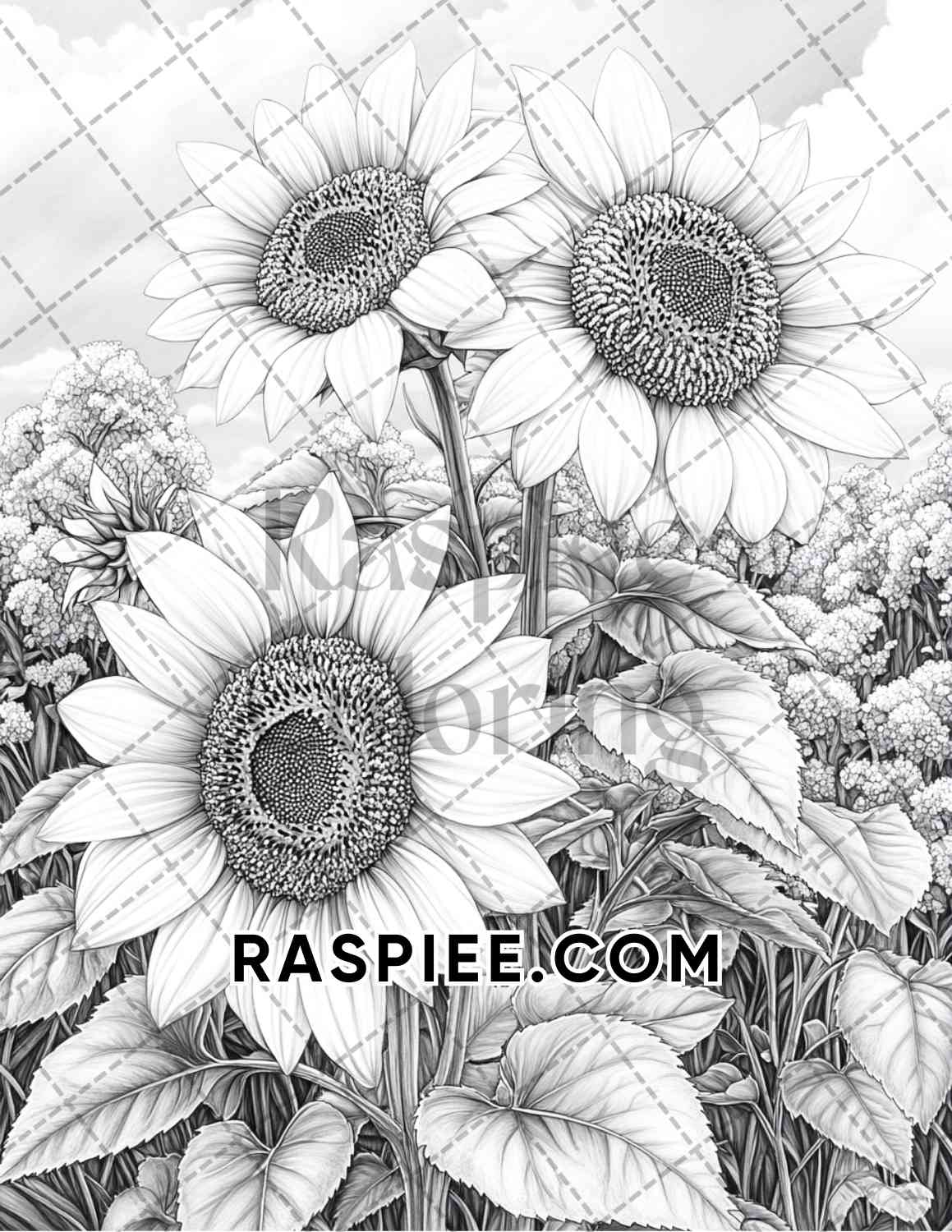 Seasonal Flowers Adult Coloring Pages Printable PDF Instant Download