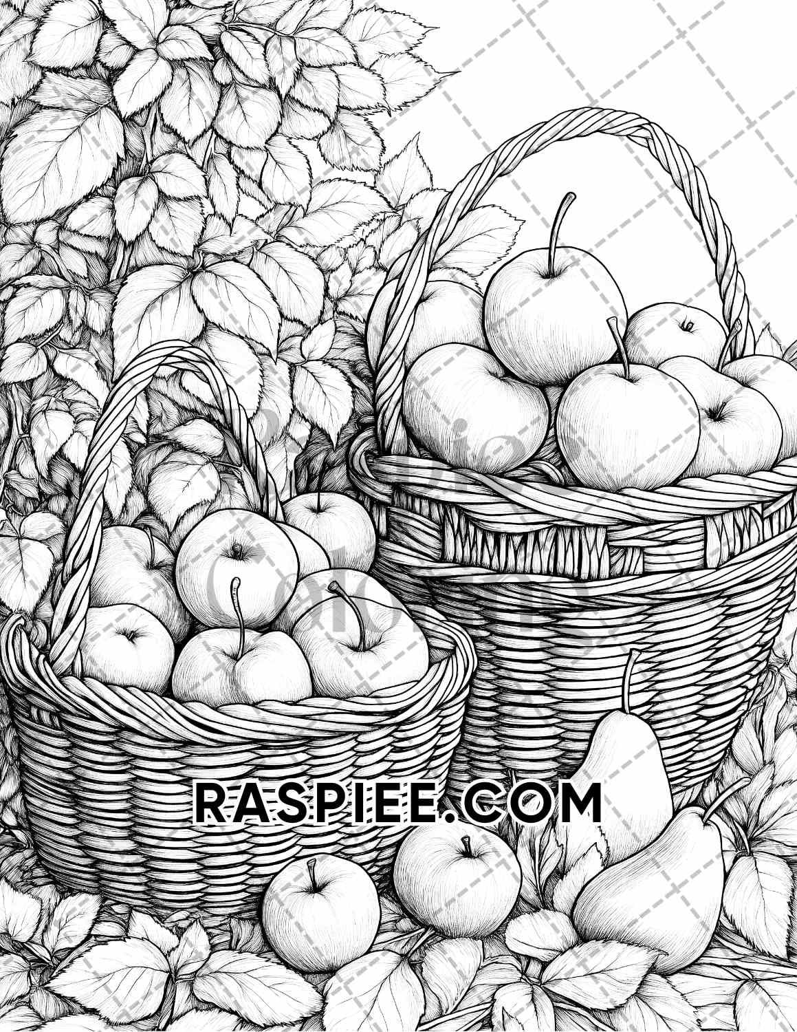 Autumn Charm Adult Coloring Pages Printable PDF Instant Download - RASPIEE