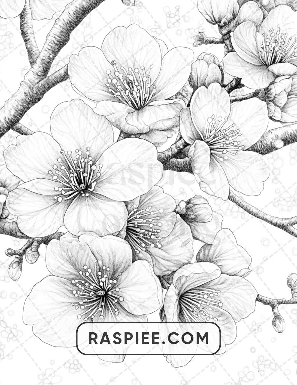 77 Winter Flowers Adult Coloring Pages