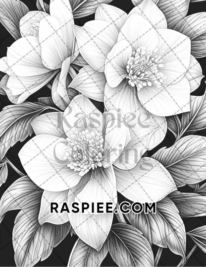 Seasonal Flowers Adult Coloring Pages Printable PDF Instant Download