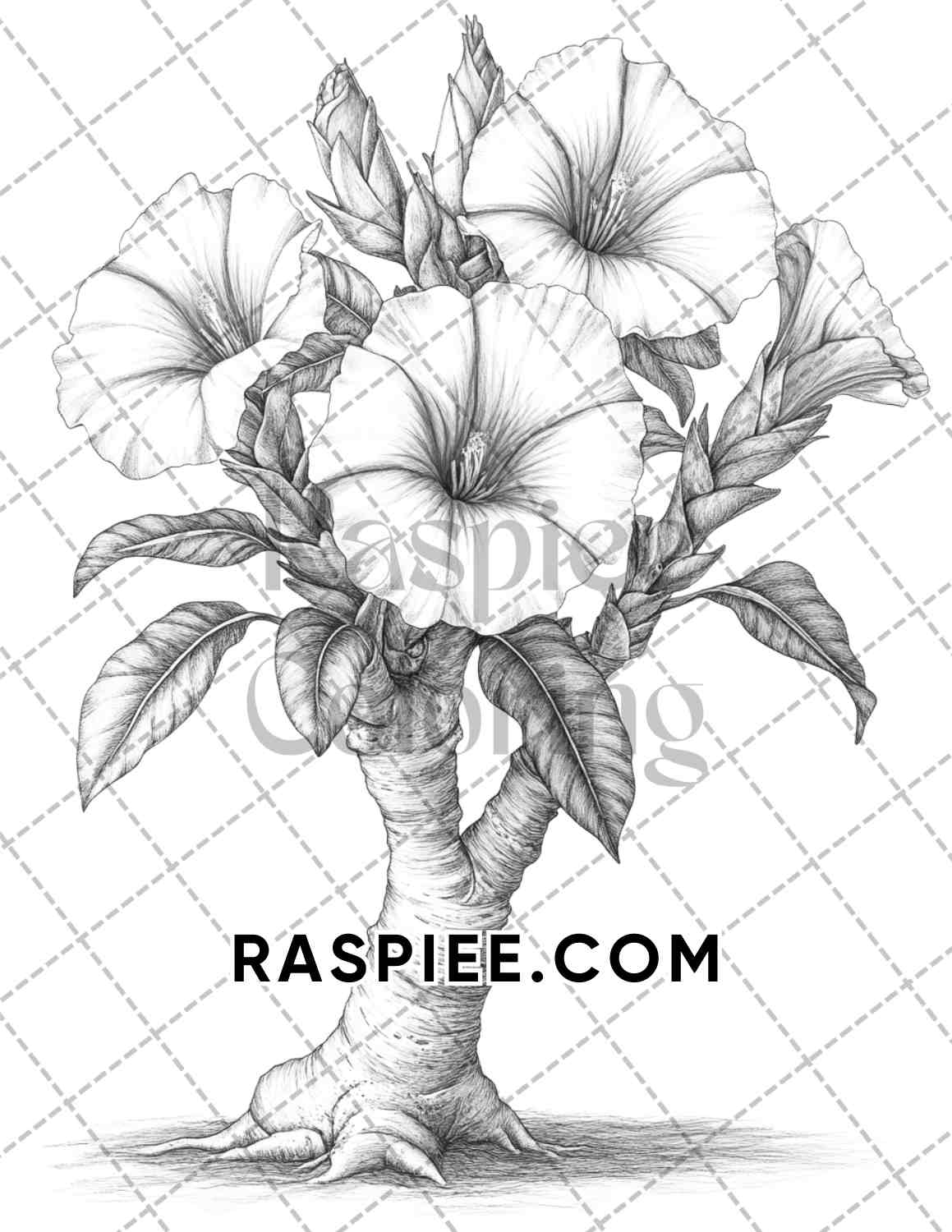 Succulent Blossoms Adult Coloring Pages Printable PDF Instant Download