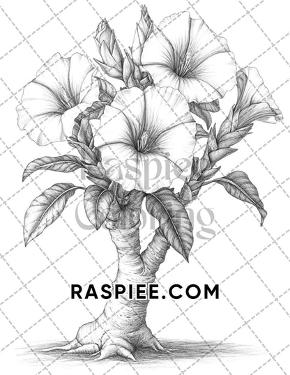 Succulent Blossoms Adult Coloring Pages Printable PDF Instant Download