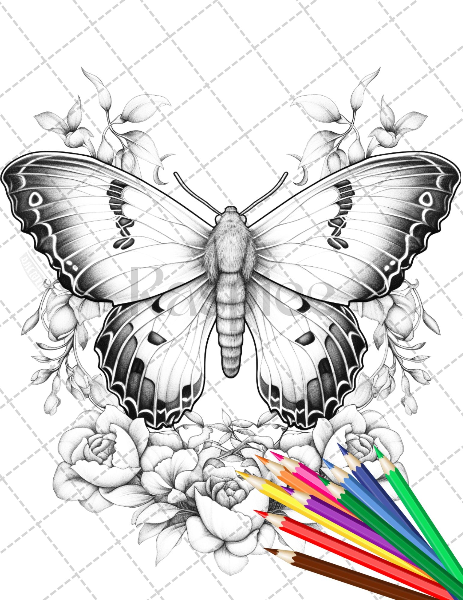 23 Moths Coloring Book, Adults Kids Instant Download grayscale