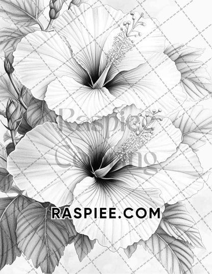 Seasonal Flowers Adult Coloring Pages Printable PDF Instant Download