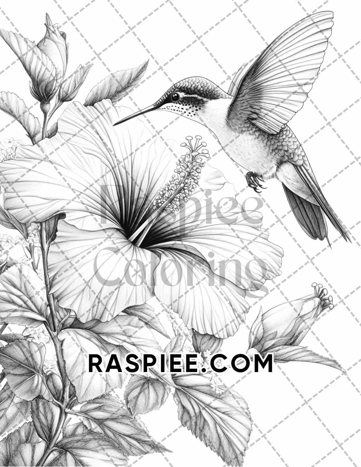 Flowers and Birds Adult Coloring Pages Printable PDF Instant Download - RASPIEE