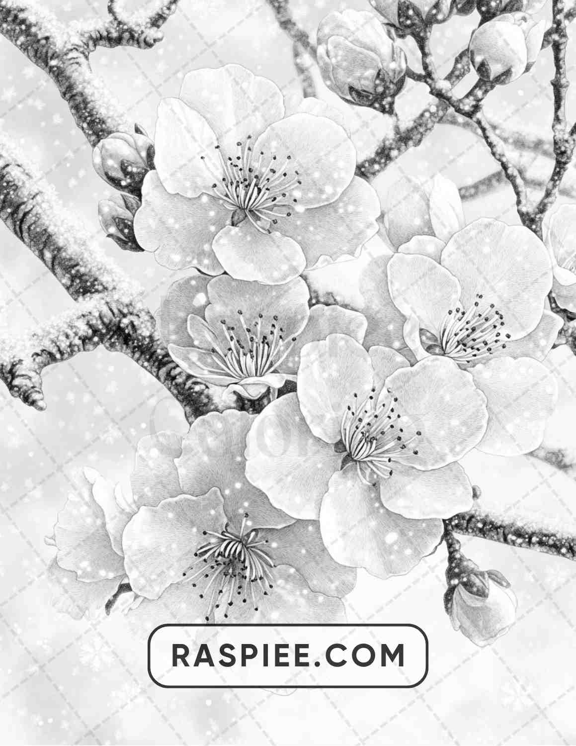 77 Winter Flowers Adult Coloring Pages