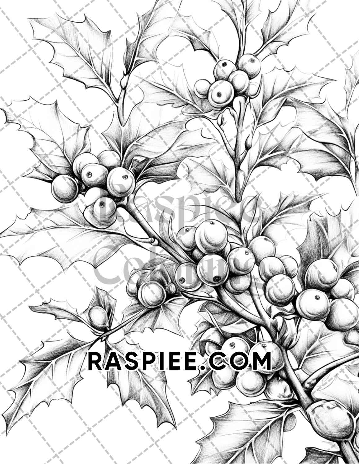 Seasonal Flowers Adult Coloring Pages Printable PDF Instant Download