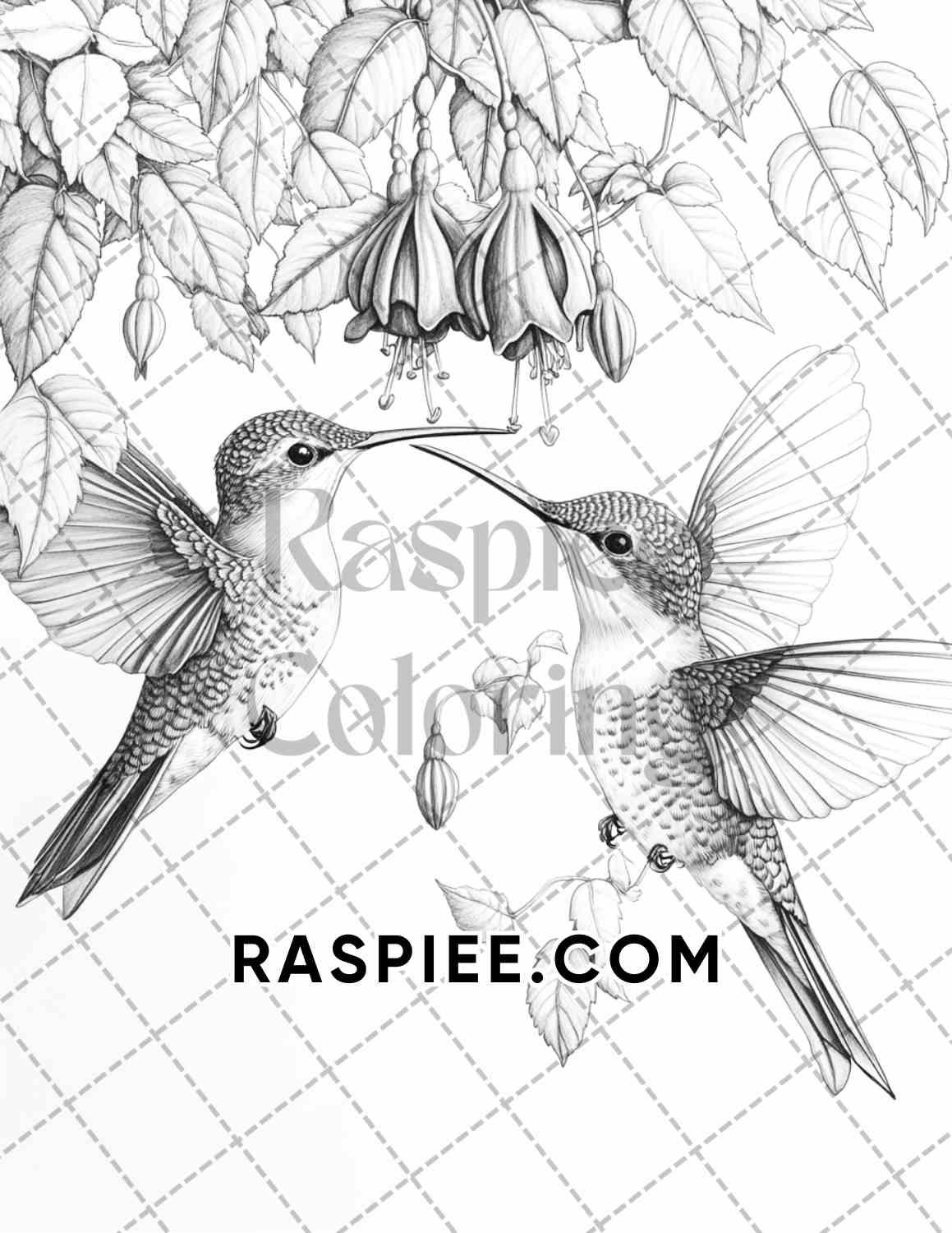 Flowers and Birds Adult Coloring Pages Printable PDF Instant Download - RASPIEE